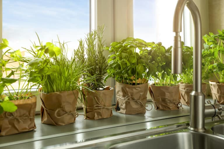 eco-friendly kitchen design
